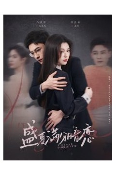 盛夏满分暗恋