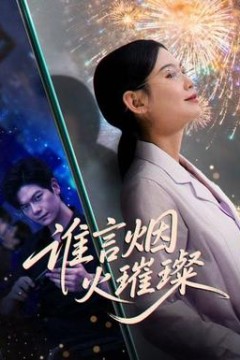 谁言焰火璀璨