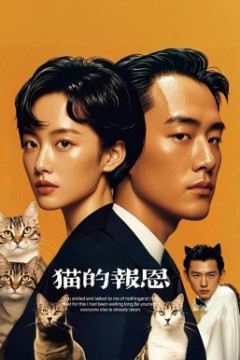 猫的报恩