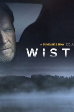 警探维斯廷第五季