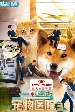 小主安康-宠物医院3