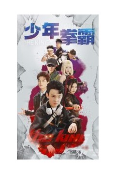 少年拳霸