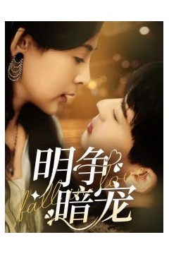 明争暗宠