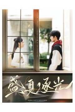 盛夏逐光