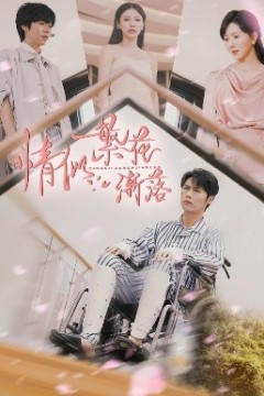 情似繁花渐落