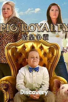 猪王争霸赛(求索频道)