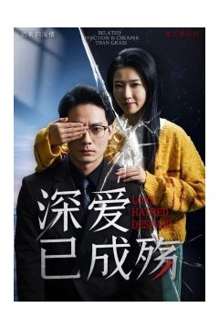 深爱已成殇