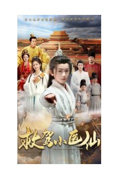救驾小医仙