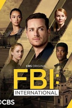 联邦调查局：国际第四季