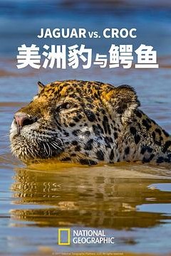 美洲豹与鳄鱼
