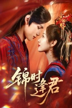 锦时逢君