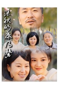 深秋的康乃馨