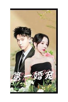 第一婚宠