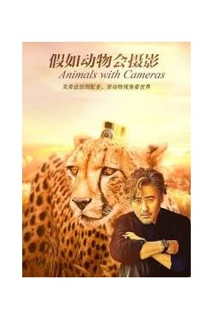 假如动物会摄影