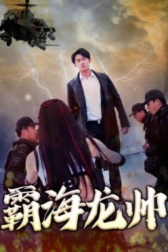 霸海龙帅