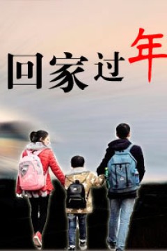 回家过年