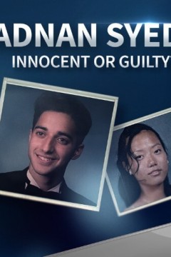 阿德南·赛义德：被推翻