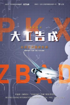 大工告成——北京大兴国际机场