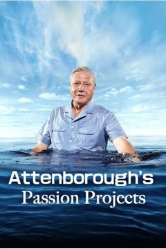 爱丁保罗爷爷的激情项目第一季