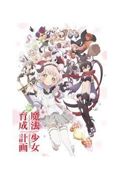 魔法少女育成计划