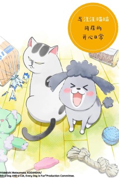 养狗与猫每天都很开心2020