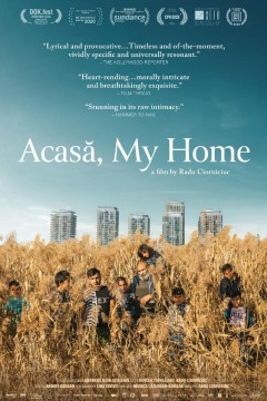 阿卡萨，我的家