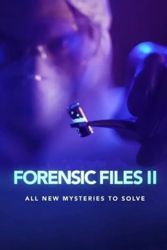 美国法医档案2第四季