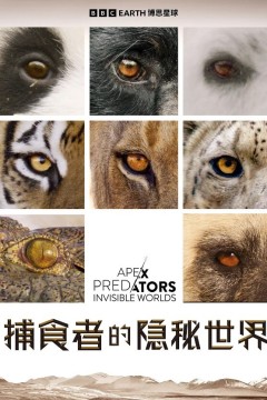 捕食者的隐秘世界2024