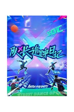 队长追踪日记