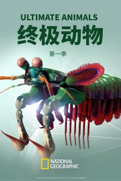 终极动物第一季