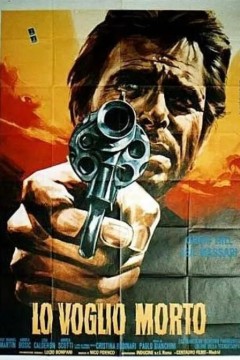 独行侠锄奸歼仇