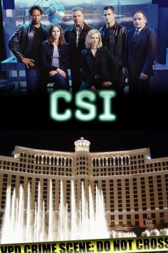 犯罪现场调查第二季