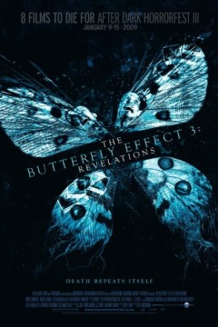 蝴蝶效应3：启示2009
