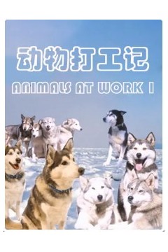 动物打工记第二季