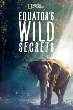 荒野之谜第二季