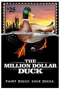 百万金鸭