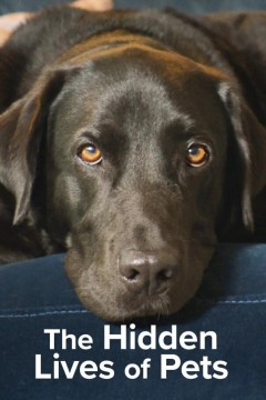 宠物的秘密生活