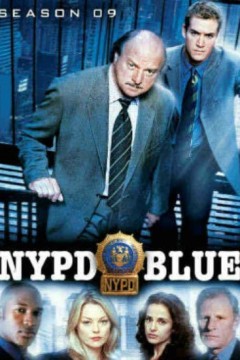 纽约重案组第九季