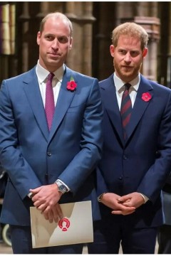 王子与媒体第一季