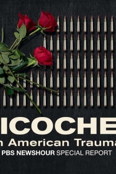 跳弹：美国的创伤