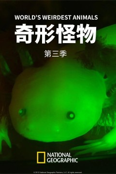 奇形怪物第三季