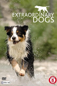 非凡的狗儿第一季