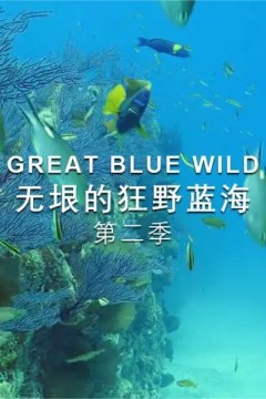 无垠的狂野蓝海第二季