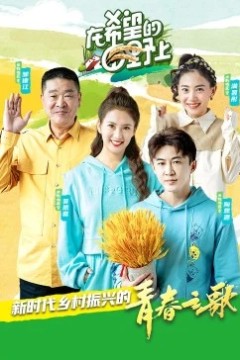 在希望的田野上