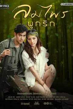 亲爱的英雄之风森结合为爱