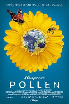 隐蔽之美：孕育地球的爱的故事