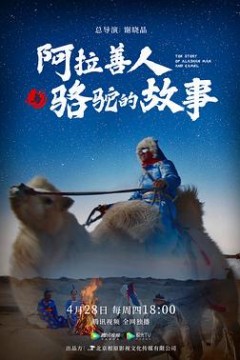 阿拉善人与骆驼的故事