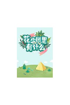 花少团里有什么