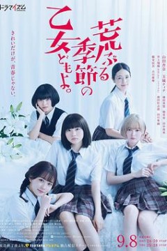 骚动时节的少女们啊2020