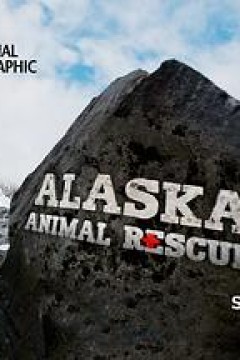 阿拉斯加野生动物救援第二季